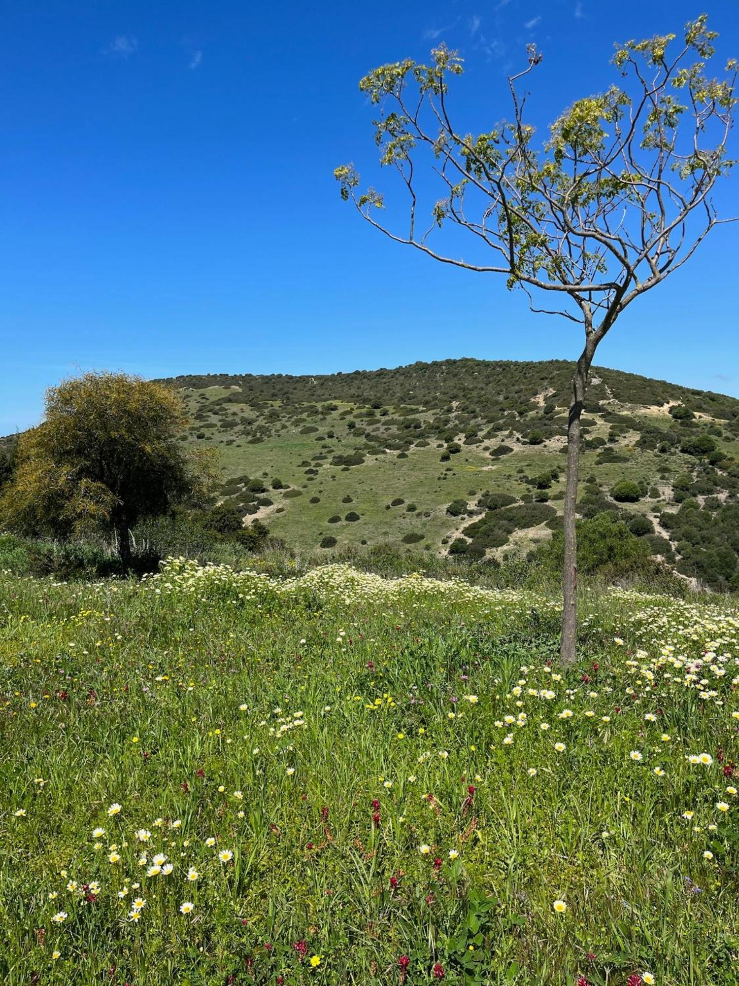 Finca La Vina Вехер-де-ла-Фронтера Екстер'єр фото