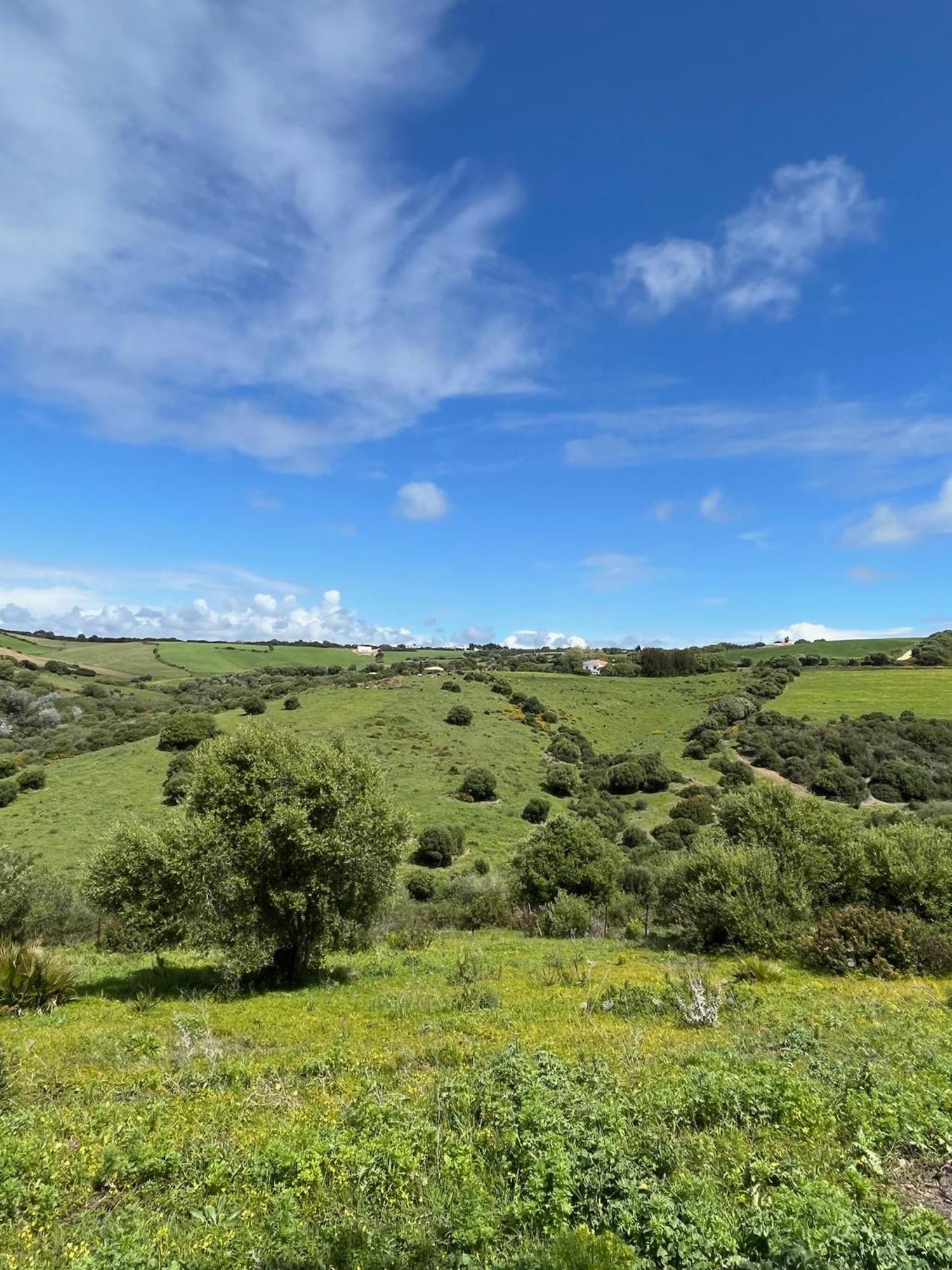 Finca La Vina Вехер-де-ла-Фронтера Екстер'єр фото