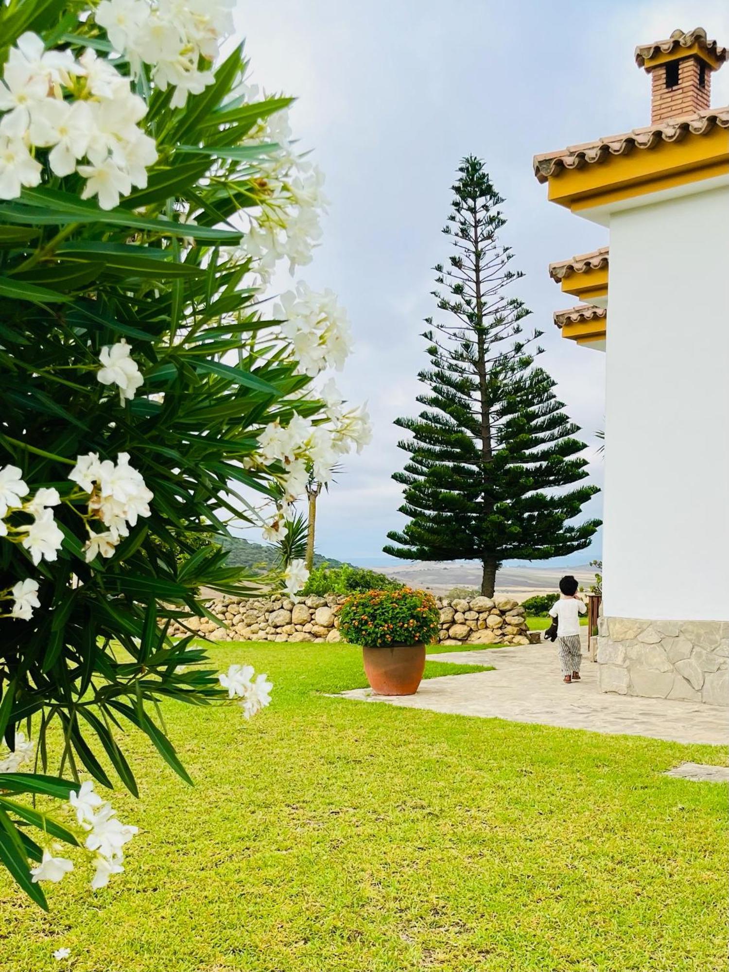 Finca La Vina Вехер-де-ла-Фронтера Екстер'єр фото